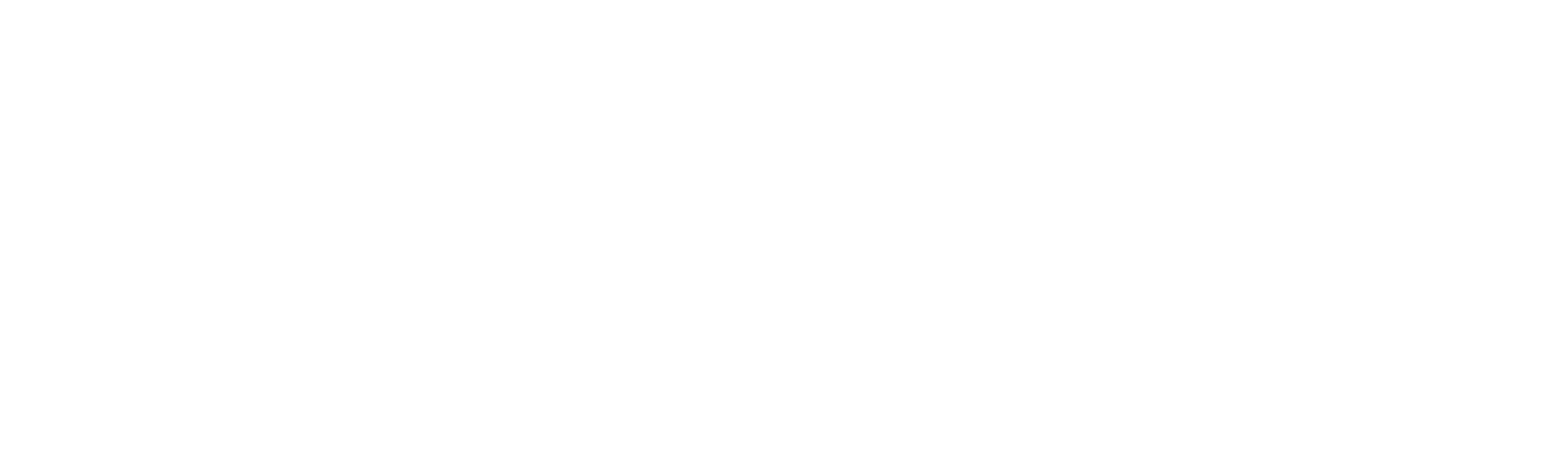 RAPTEC logo white